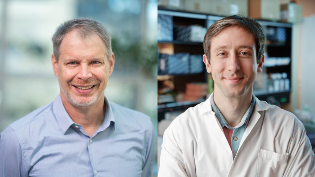 Tracking the gene expression programs and clonal relationships that